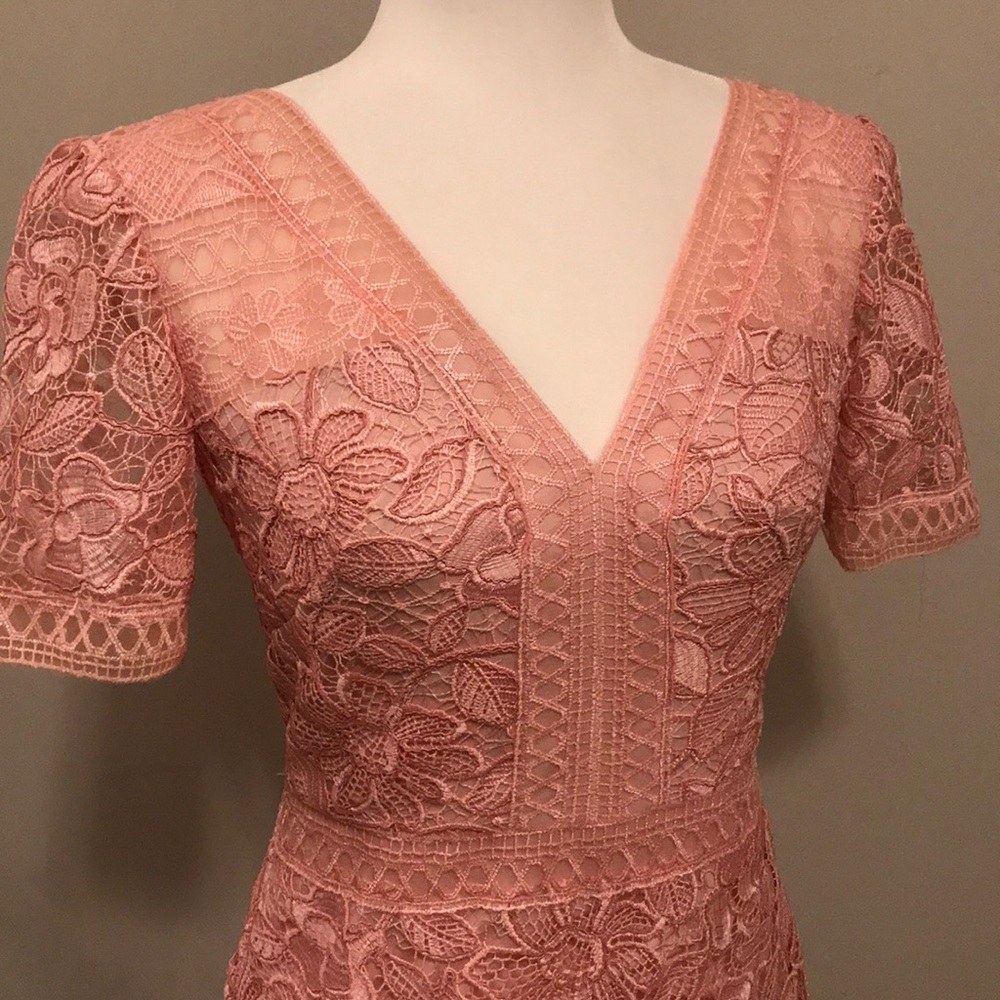 Tadashi Shoji Katelyn Lace Dress - Picture 2 of 7